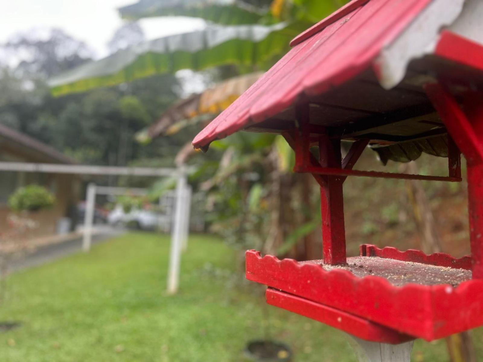 Bela Vista Hospedagem Joinville Εξωτερικό φωτογραφία